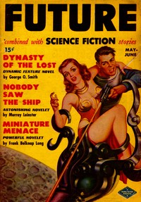 Nobody saw the ship by Murray Leinster