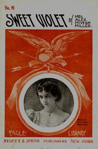 Sweet Violet : $b or, the fairest of the fair by Alex. McVeigh Miller