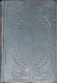 The rag pickers : $b and other stories by Madeline Leslie