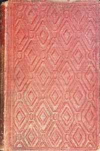 Rising in the world : $b A tale for the rich and poor by T. S. (Timothy Shay) Arthur