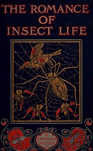 The romance of insect life : $b Interesting descriptions of the strange and curious in the insect world by Edmund Selous