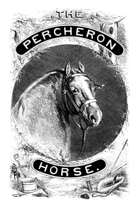 The Percheron horse by Charles Du Hays