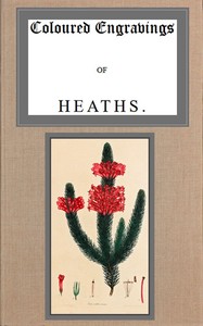 Coloured engravings of heaths; vol. 1 by Henry Cranke Andrews