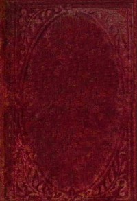 The golden pennies, and other stories by Madeline Leslie