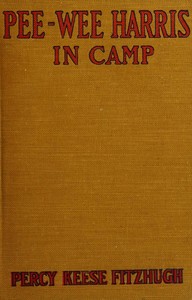 Pee-wee Harris in camp by Percy Keese Fitzhugh