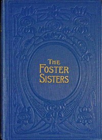 The foster-sisters : $b A story in the days of Wesley and Whitfield by Lucy Ellen Guernsey