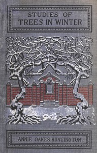 Studies of trees in winter : $b A description of the deciduous trees of northeastern America by Annie Oakes Huntington