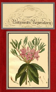 The botanist's repository for new and rare plants; vol. 06 [of 10] by Henry Cranke Andrews