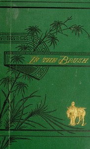 In the brush : $b or, Old-time social, political, and religious life in the southwest by Hamilton W. (Hamilton Wilcox) Pierson