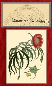 The botanist's repository for new and rare plants; vol. 08 [of 10] by Henry Cranke Andrews