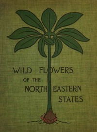 Wild flowers of the north-eastern states : $b Being three hundred and eight individuals common to the north-eastern United States by Ellen Miller