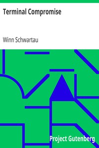 Terminal Compromise by Winn Schwartau