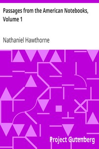 Passages from the American Notebooks, Volume 1 by Nathaniel Hawthorne