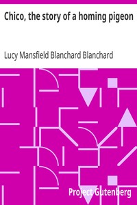 Chico, the story of a homing pigeon by Lucy Mansfield Blanchard Blanchard